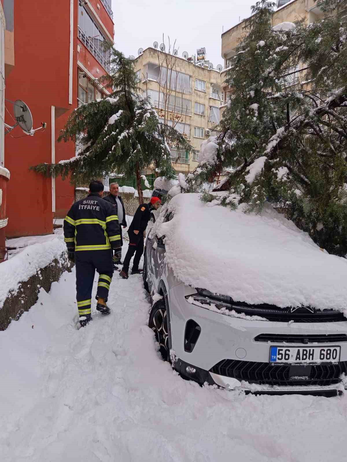 Siirt’te karın ağırlığına dayanamayan çam ağacı otomobilin üzerine devrildi
