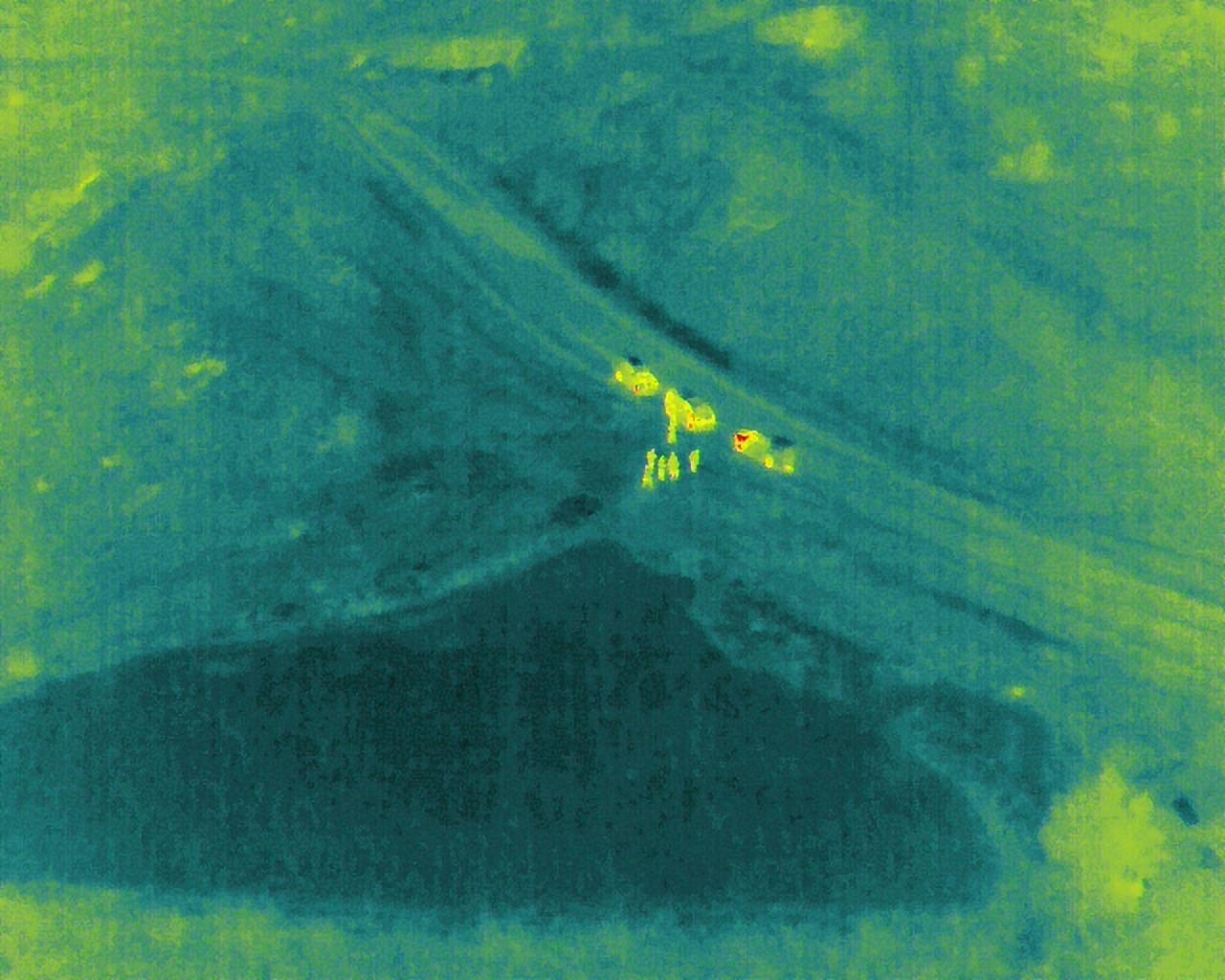 Siirt’te kayıp 13 yaşındaki çocuk için arama çalışması başlatıldı
