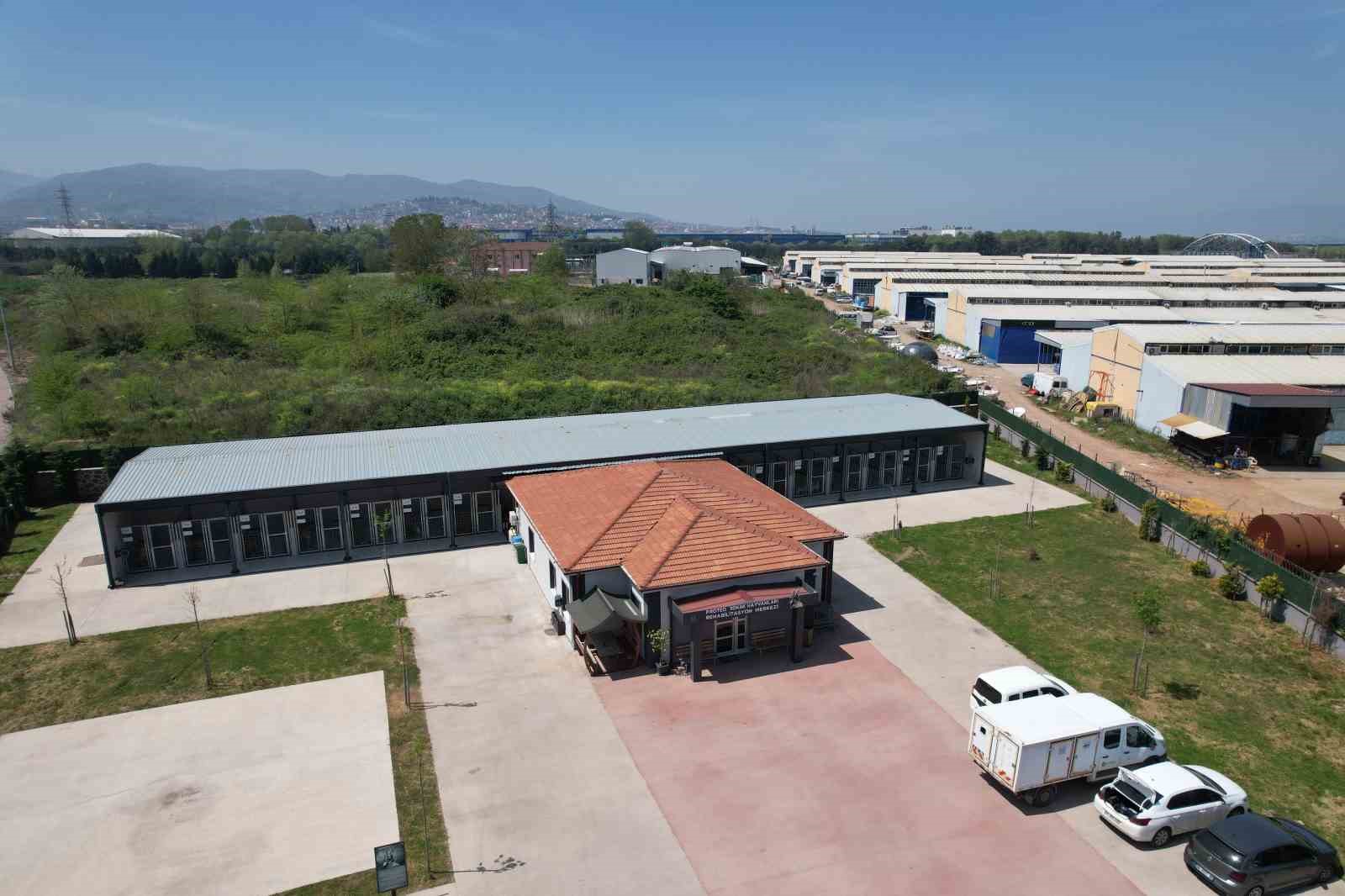 Şikayetler 100’den 20’ye indi: Başiskele’de sokak hayvanı şikayetleri büyük oranda düştü
