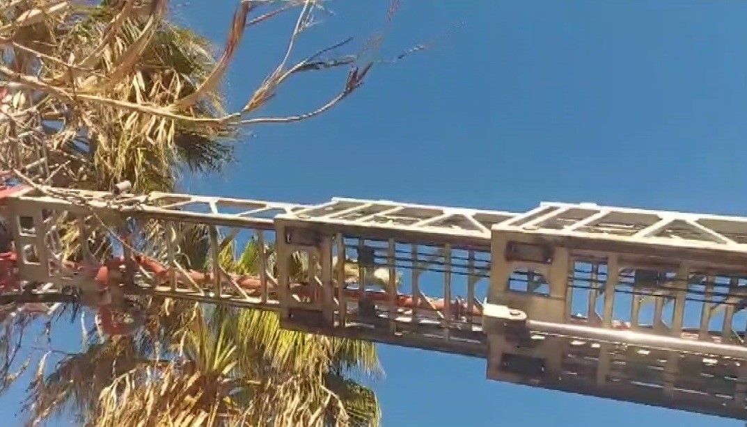 Silifke’de yürekleri ısıtan kurtarma
