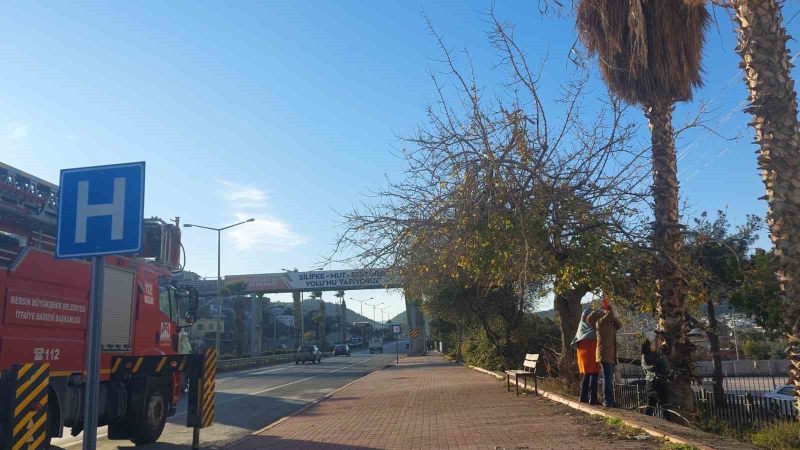 Silifke’de yürekleri ısıtan kurtarma
