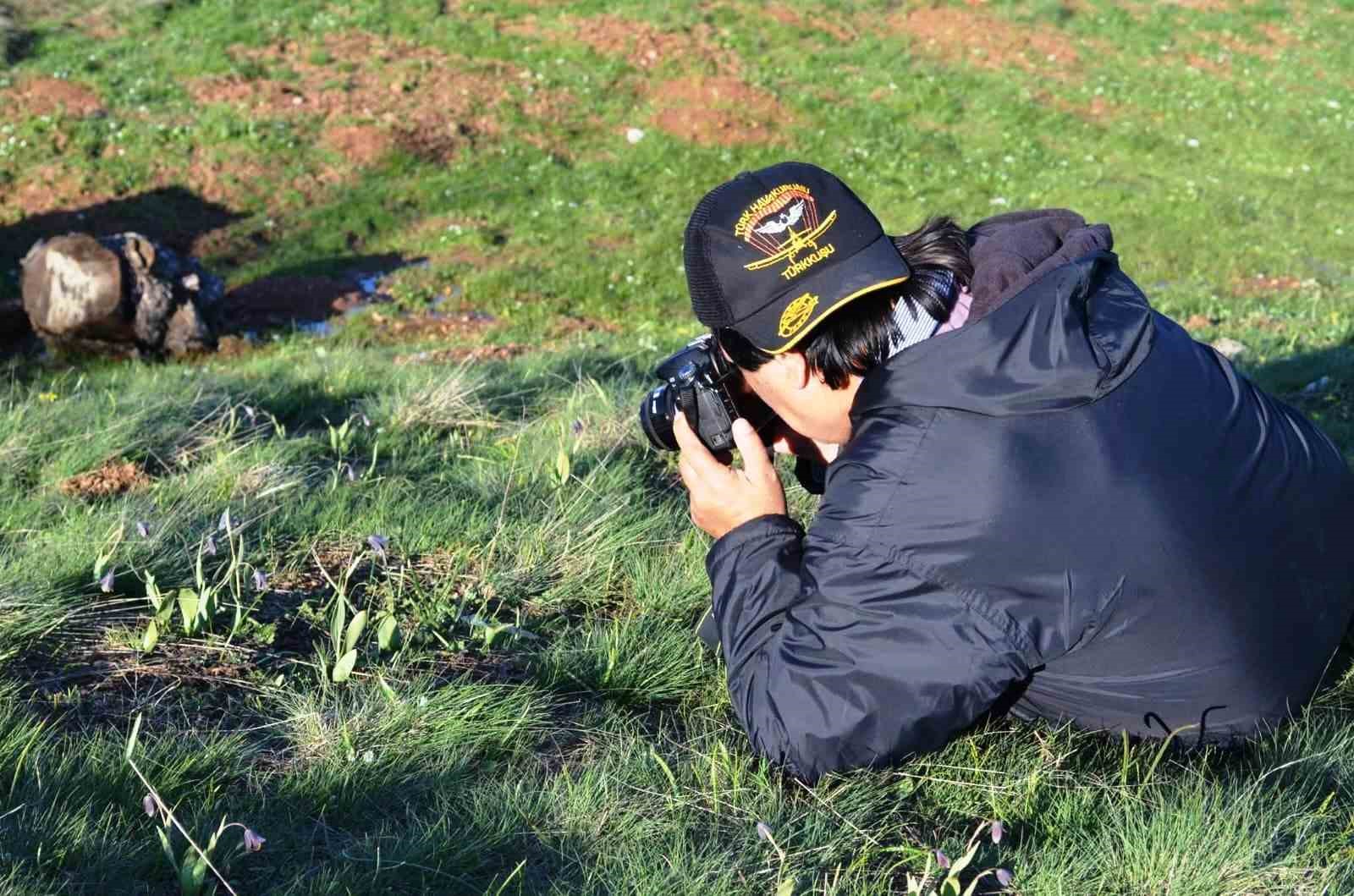 Simav Dağı rengârenk ters lalelere ev sahipliği yapıyor
