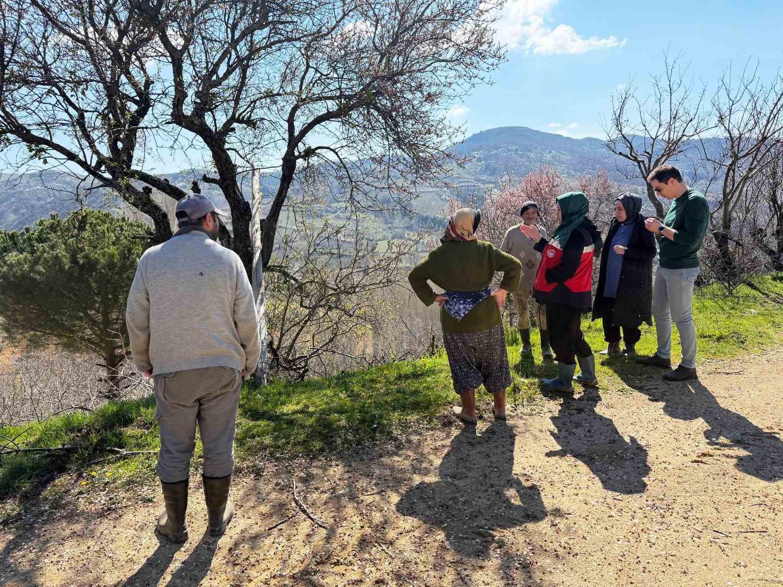 Simav’da üreticilere zirai don uyarısı
