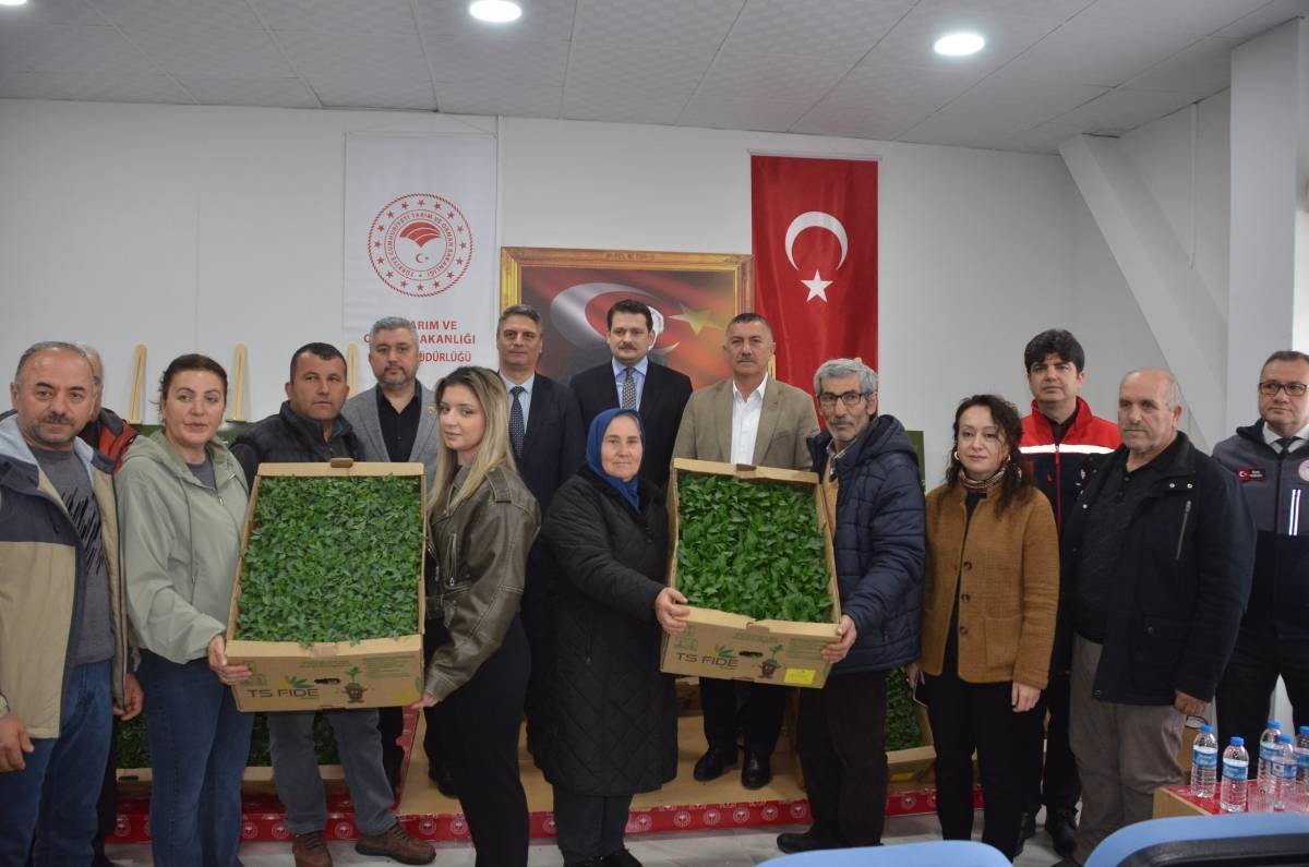 Sinop’ta 135 bin fide toprakla buluşuyor
