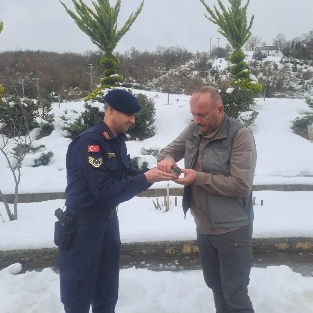 Sinop’ta jandarma ekipleri yaralı kuşa umut oldu

