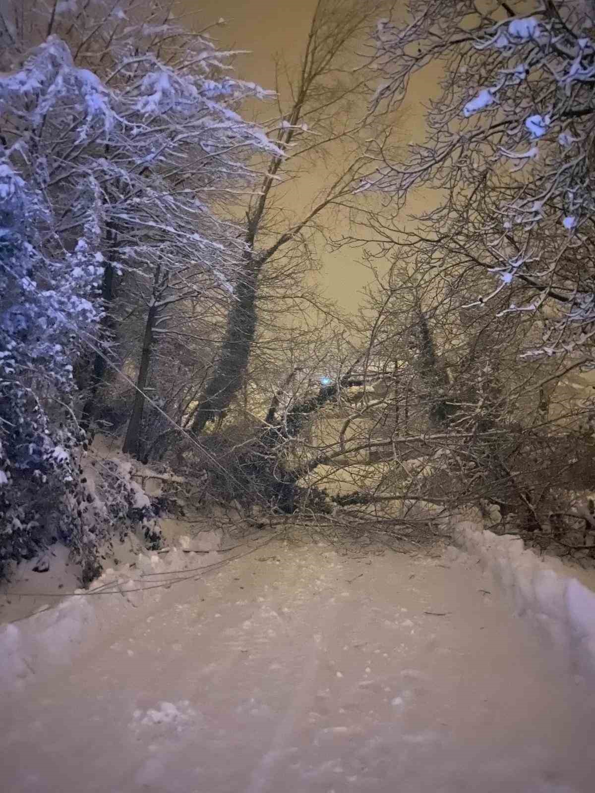 Sinop’ta kar esareti: Köylerin yarısı ulaşıma kapalı, 87 köyde elektrik yok
