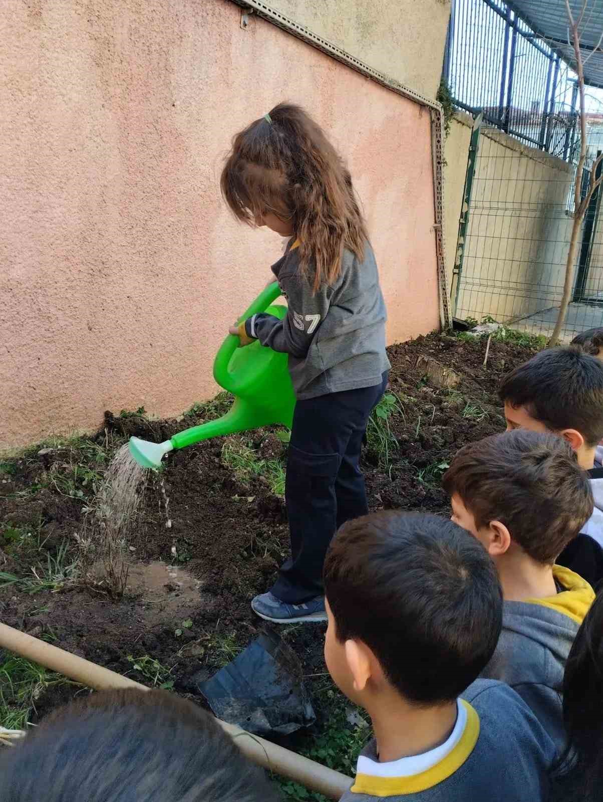 Sinop’ta minik eller geleceğe nefes oldu
