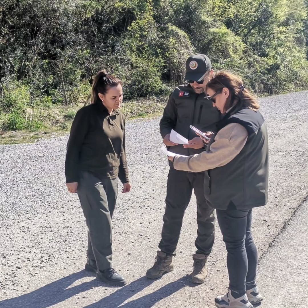 Sinop’ta orman ürünlerine 183 noktada denetim
