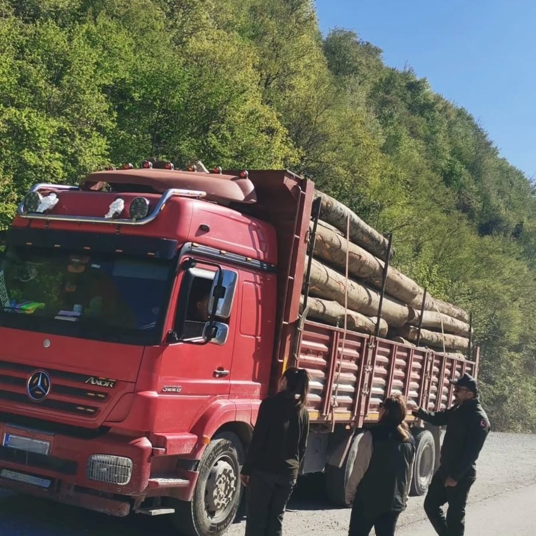 Sinop’ta orman ürünlerine 183 noktada denetim
