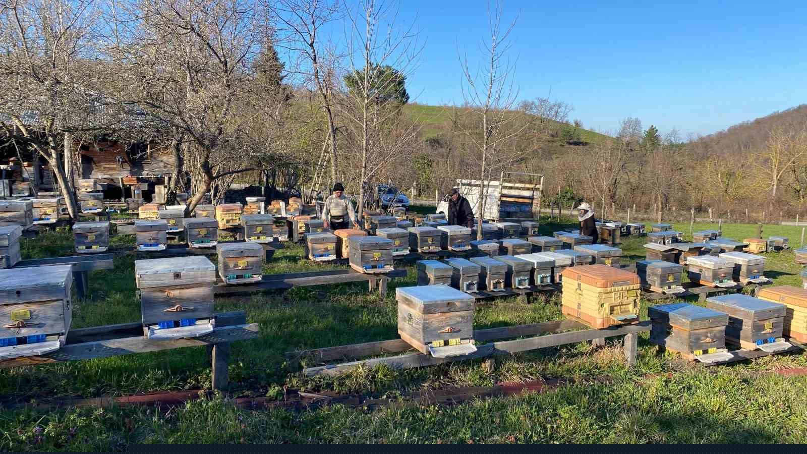 Sinop’ta soğuk hava arıcılığı olumsuz etkiliyor
