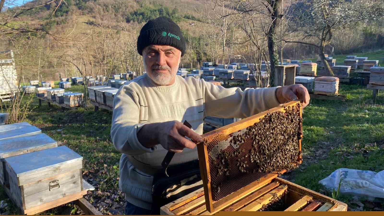 Sinop’ta soğuk hava arıcılığı olumsuz etkiliyor
