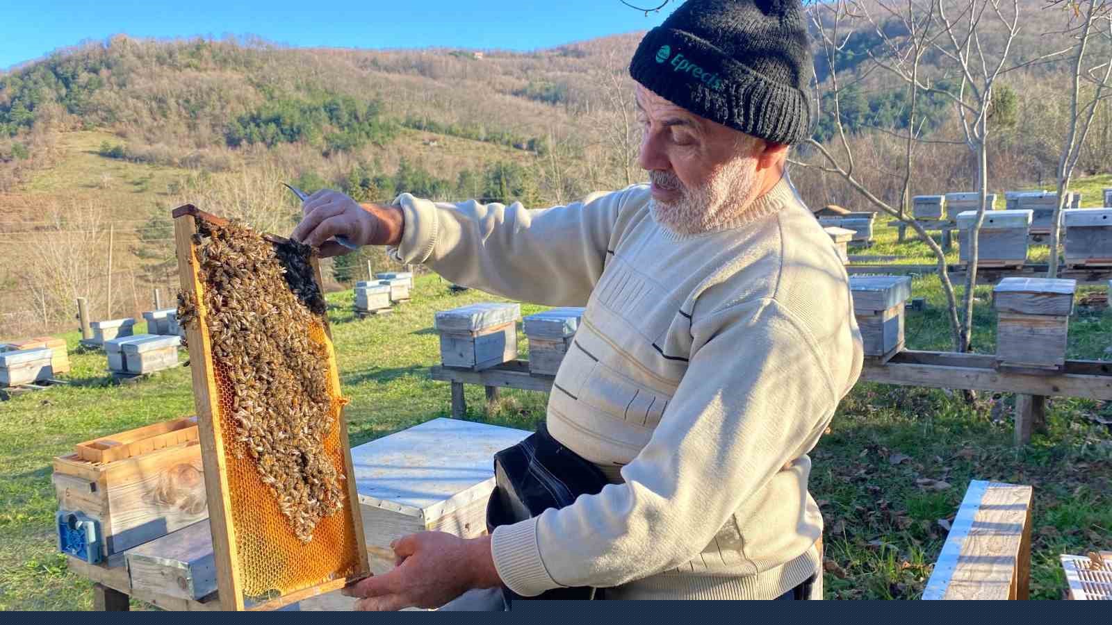 Sinop’ta soğuk hava arıcılığı olumsuz etkiliyor
