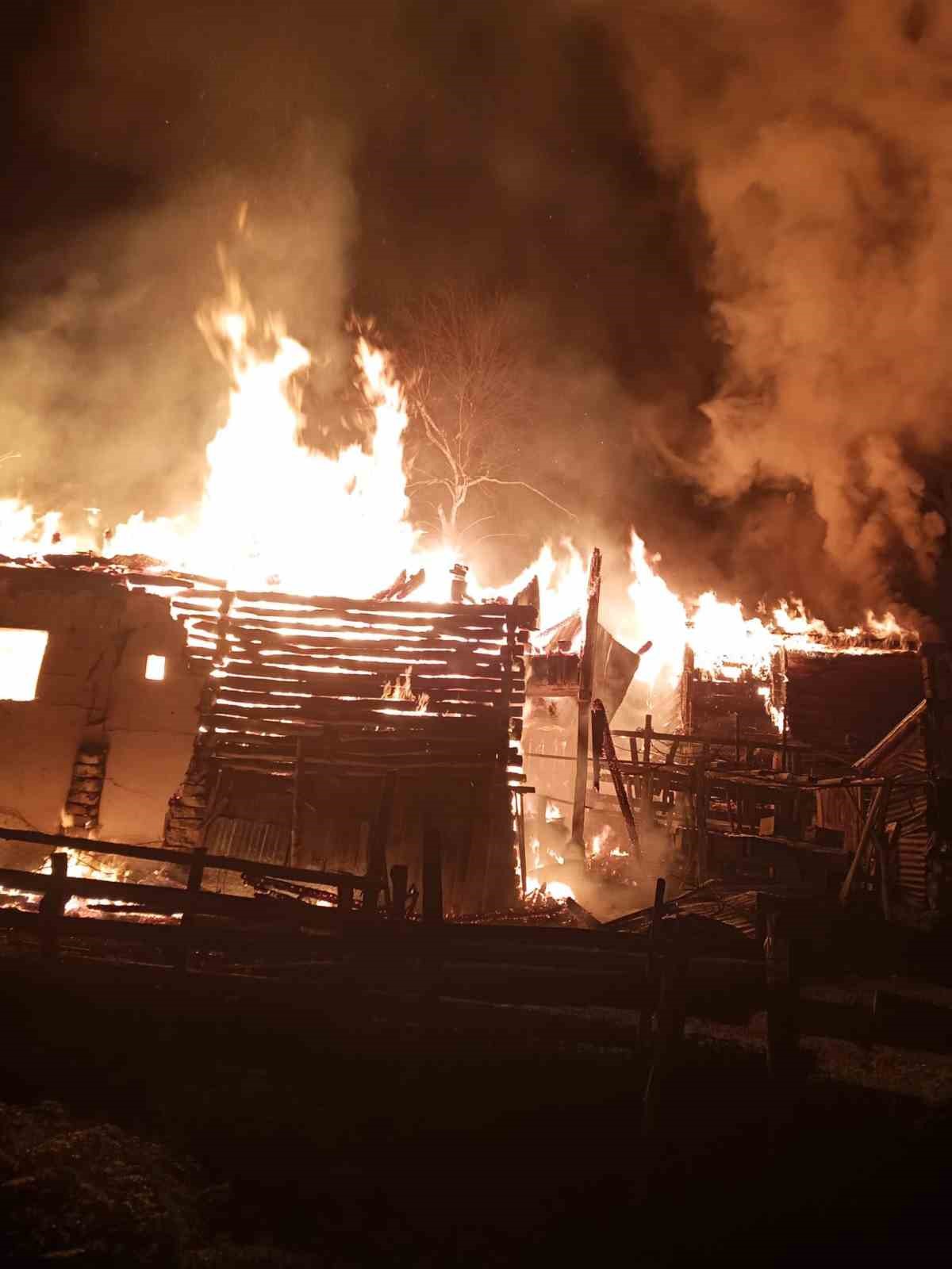 Sinop’ta yangın: 2 katlı ev, ahır, ambar kül oldu
