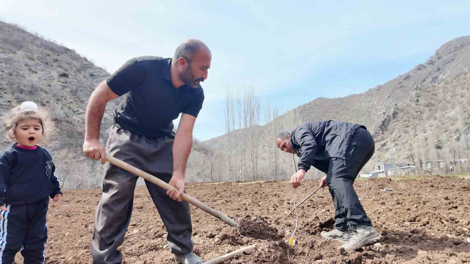 Şırnaklı çiftçi devlet desteğiyle bütün arazisine meyve fidanı dikti
