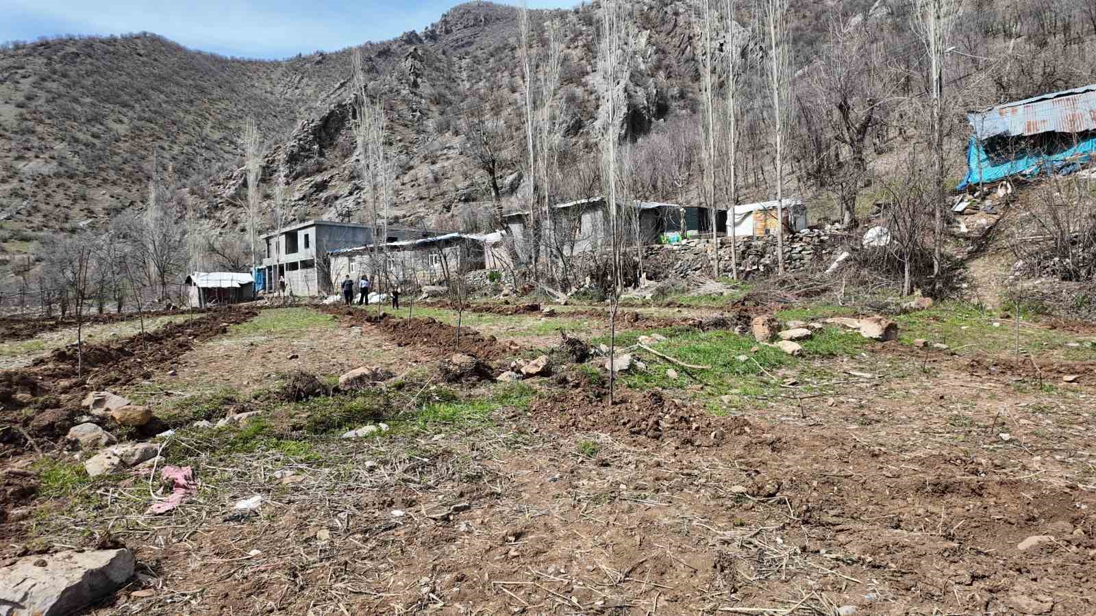 Şırnaklı çiftçi devlet desteğiyle bütün arazisine meyve fidanı dikti
