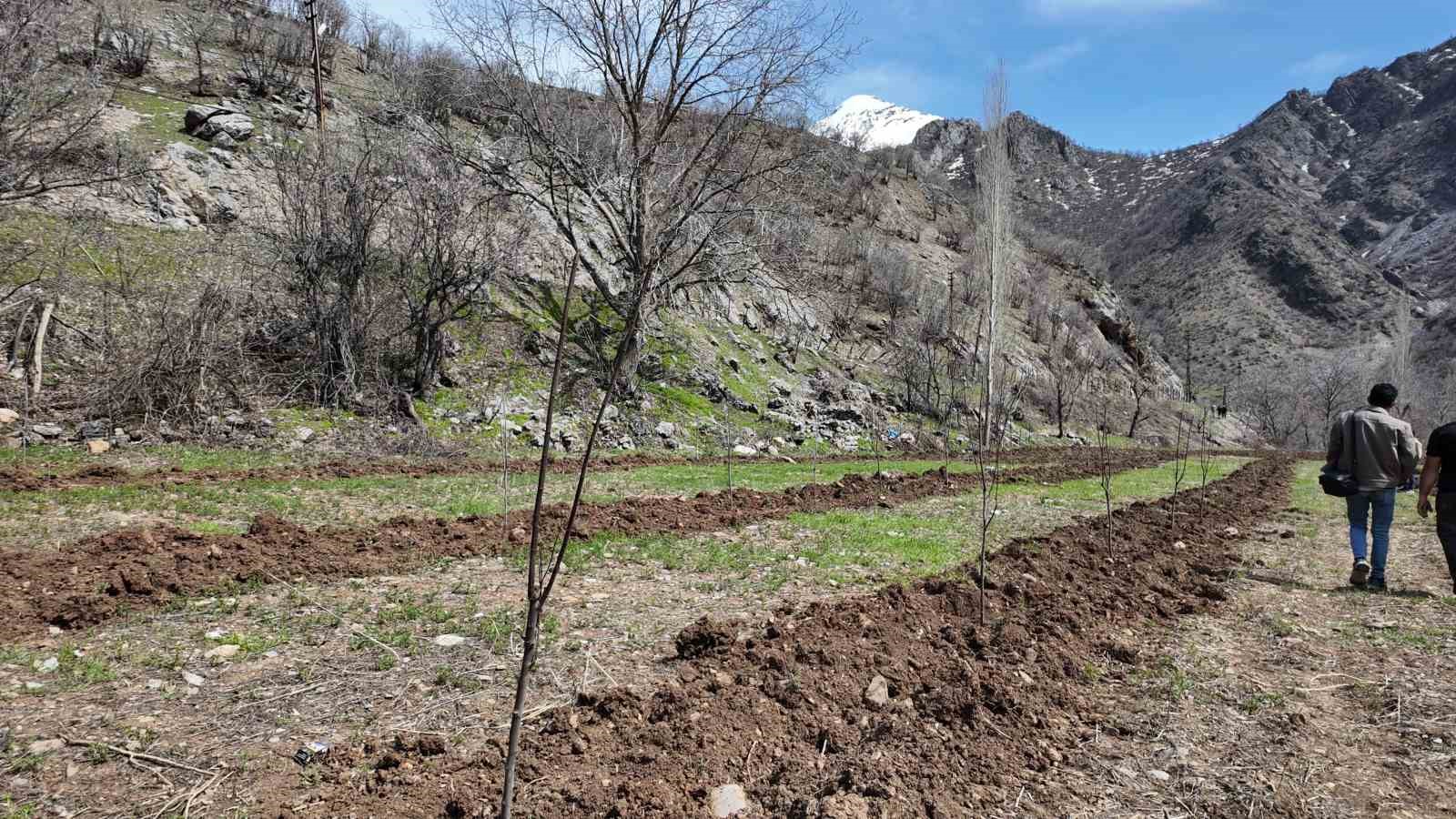 Şırnaklı çiftçi devlet desteğiyle bütün arazisine meyve fidanı dikti
