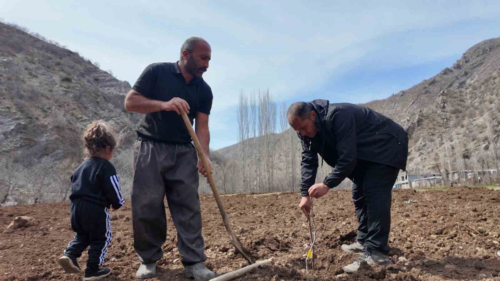 Şırnaklı çiftçi devlet desteğiyle bütün arazisine meyve fidanı dikti
