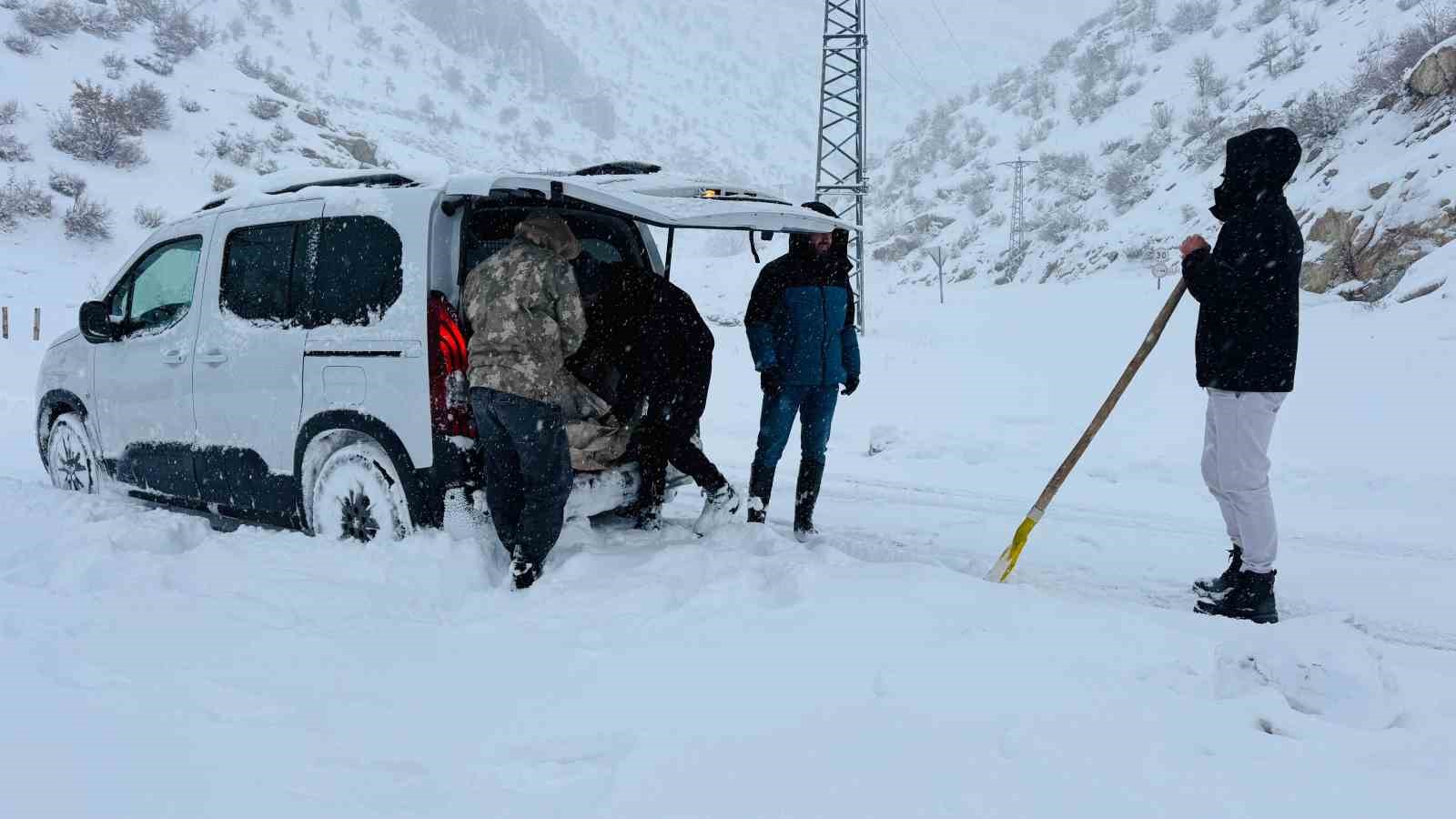 Şırnak’ta 12 köpek yavrusu donmak üzereyken kurtarıldı
