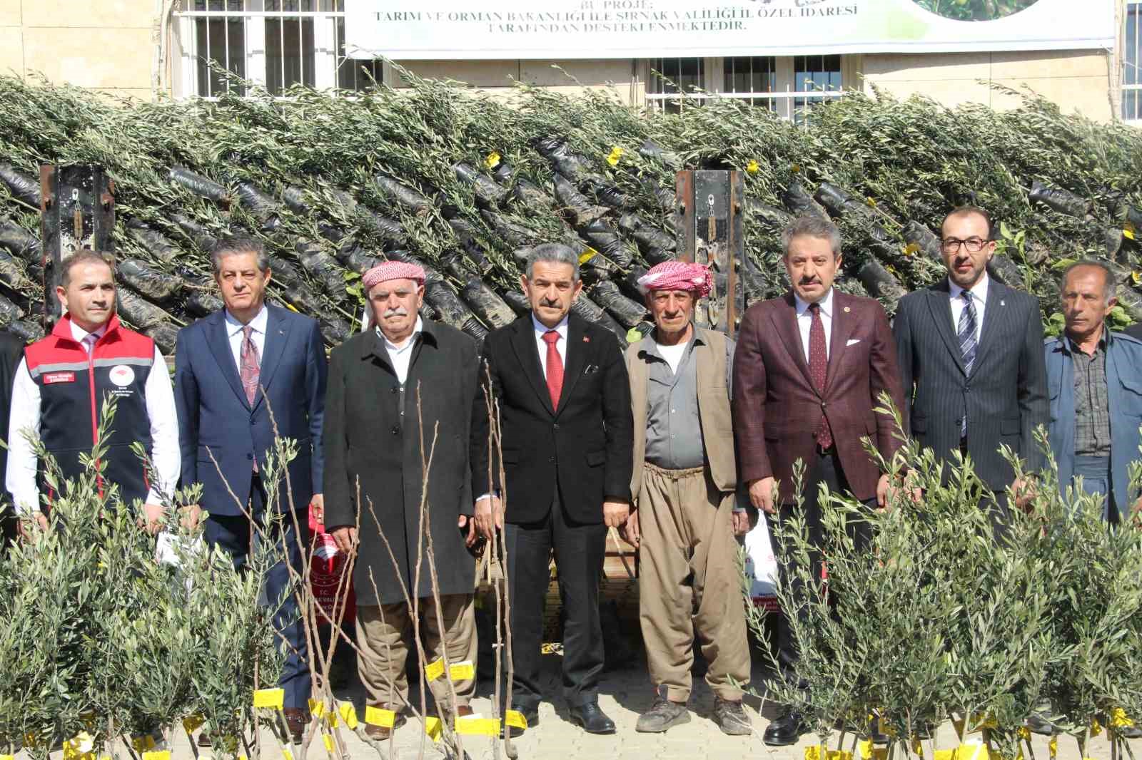 Şırnak’ta 25 bin 200 fidan toprakla buluştu: 810 dekar meyve bahçesi oluyor
Şırnak’ta 25 bin 200 fidan toprakla buluştu: 810 dekar meyve bahçesi oluyor