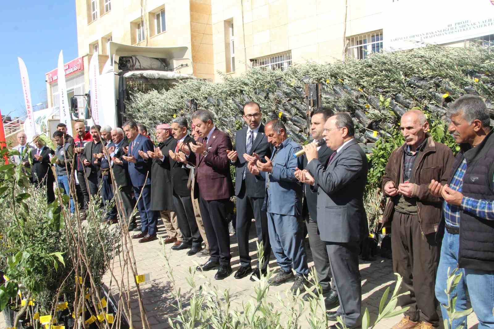 Şırnak’ta 25 bin 200 fidan toprakla buluştu: 810 dekar meyve bahçesi oluyor
Şırnak’ta 25 bin 200 fidan toprakla buluştu: 810 dekar meyve bahçesi oluyor