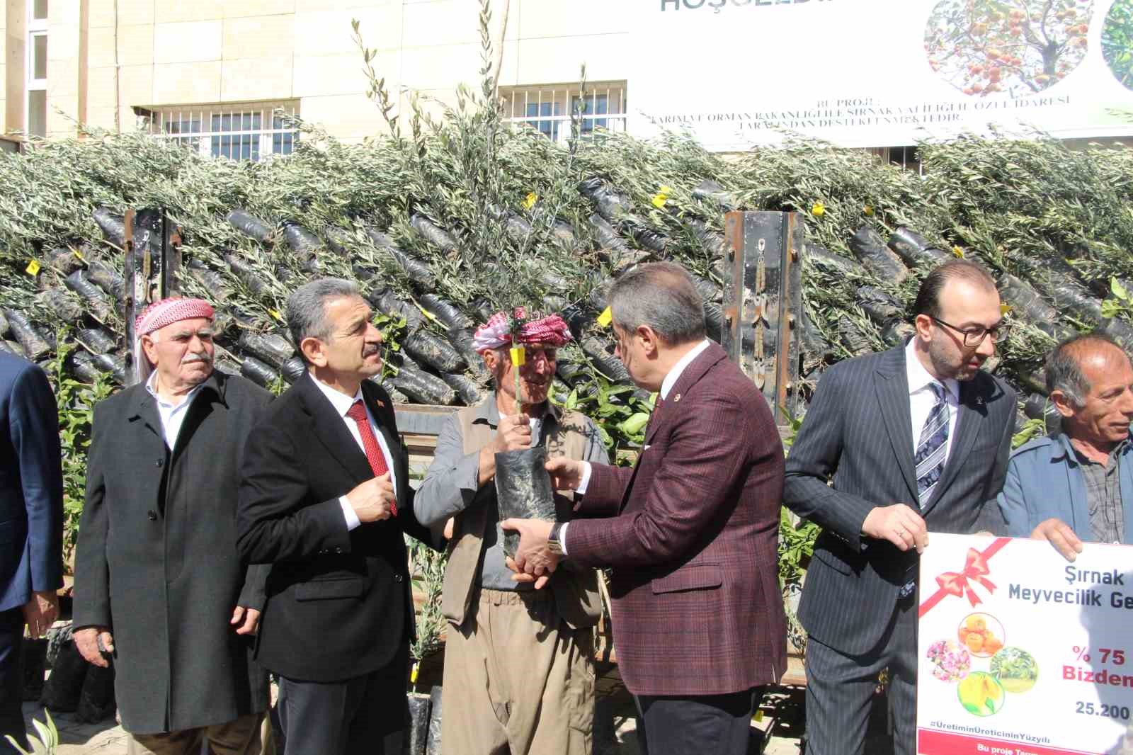 Şırnak’ta 25 bin 200 fidan toprakla buluştu: 810 dekar meyve bahçesi oluyor
Şırnak’ta 25 bin 200 fidan toprakla buluştu: 810 dekar meyve bahçesi oluyor