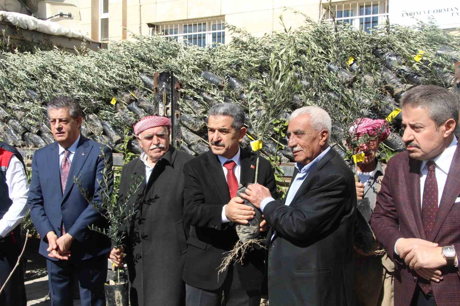 Şırnak’ta 25 bin 200 fidan toprakla buluştu: 810 dekar meyve bahçesi oluyor
Şırnak’ta 25 bin 200 fidan toprakla buluştu: 810 dekar meyve bahçesi oluyor