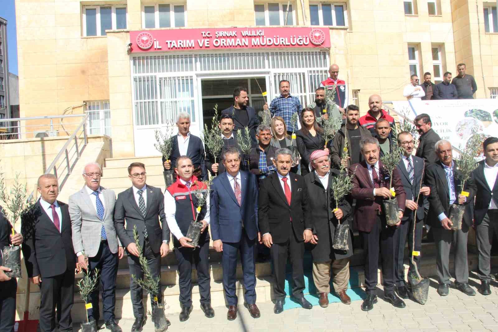 Şırnak’ta 25 bin 200 fidan toprakla buluştu: 810 dekar meyve bahçesi oluyor
Şırnak’ta 25 bin 200 fidan toprakla buluştu: 810 dekar meyve bahçesi oluyor