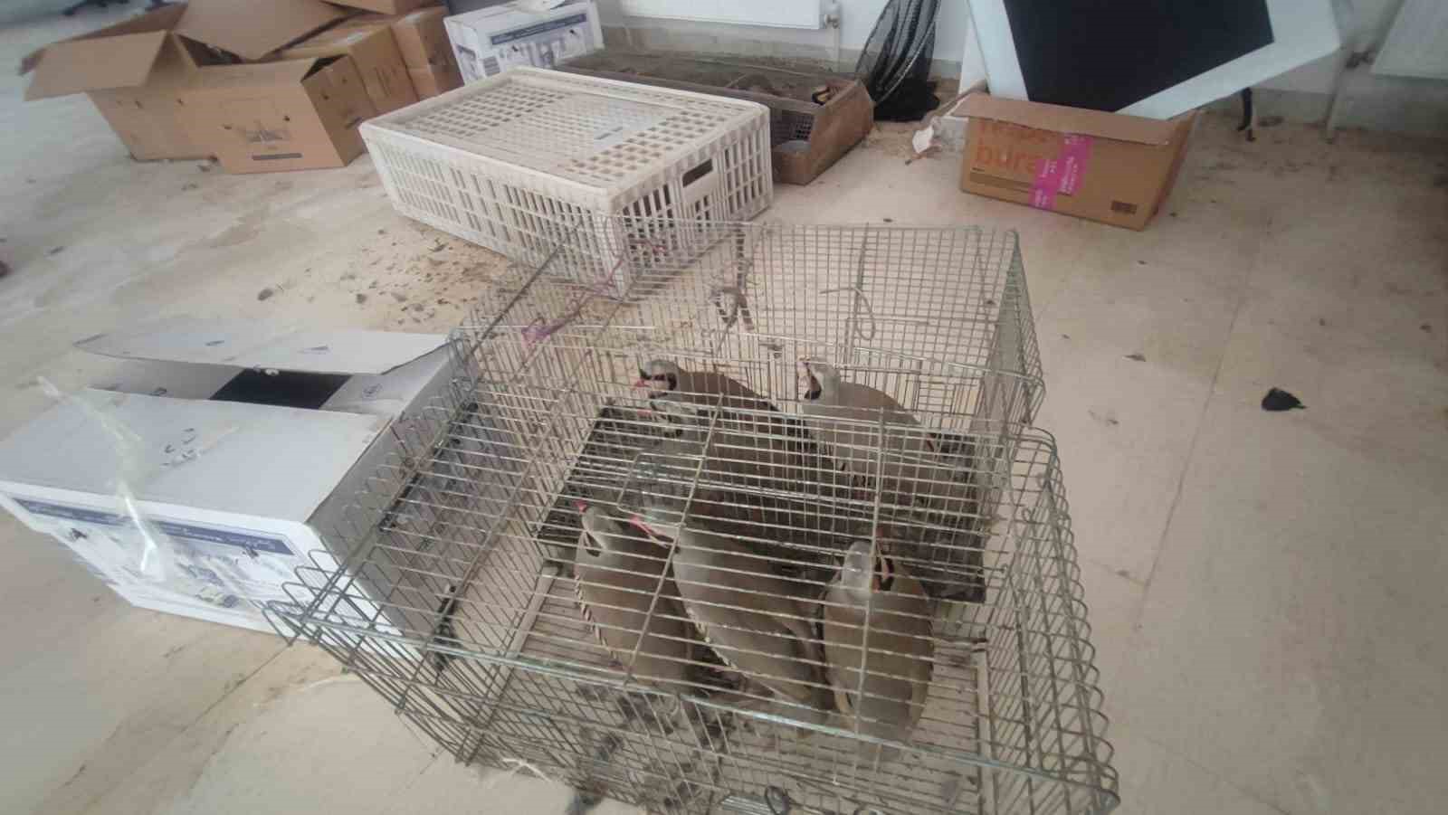 Şırnak’ta 40 adet kanatlı hayvan ele geçirildi
