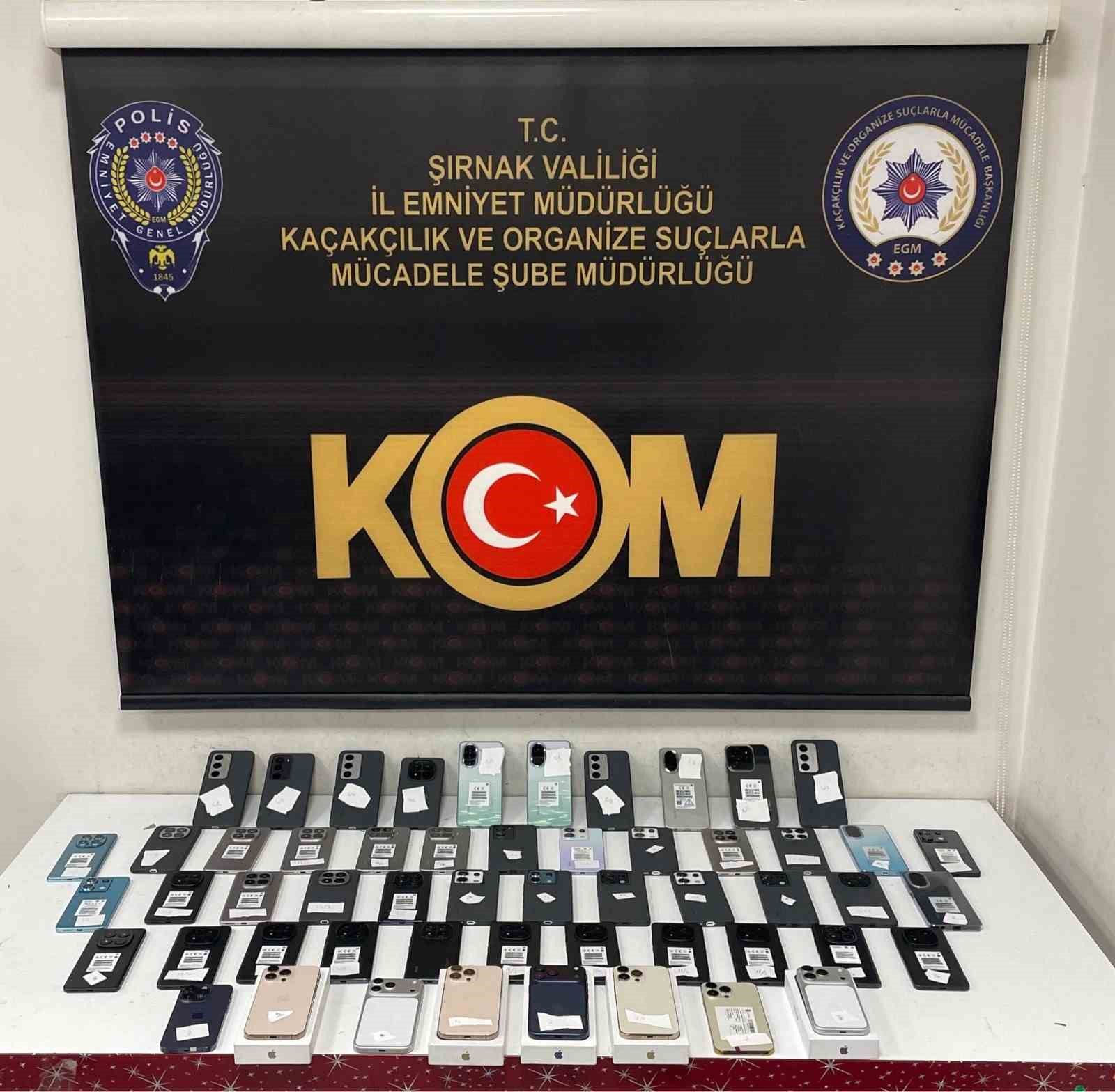 Şırnak’ta asayiş, narkotik ve kaçakçılık operasyonlarında 10 tutuklama
