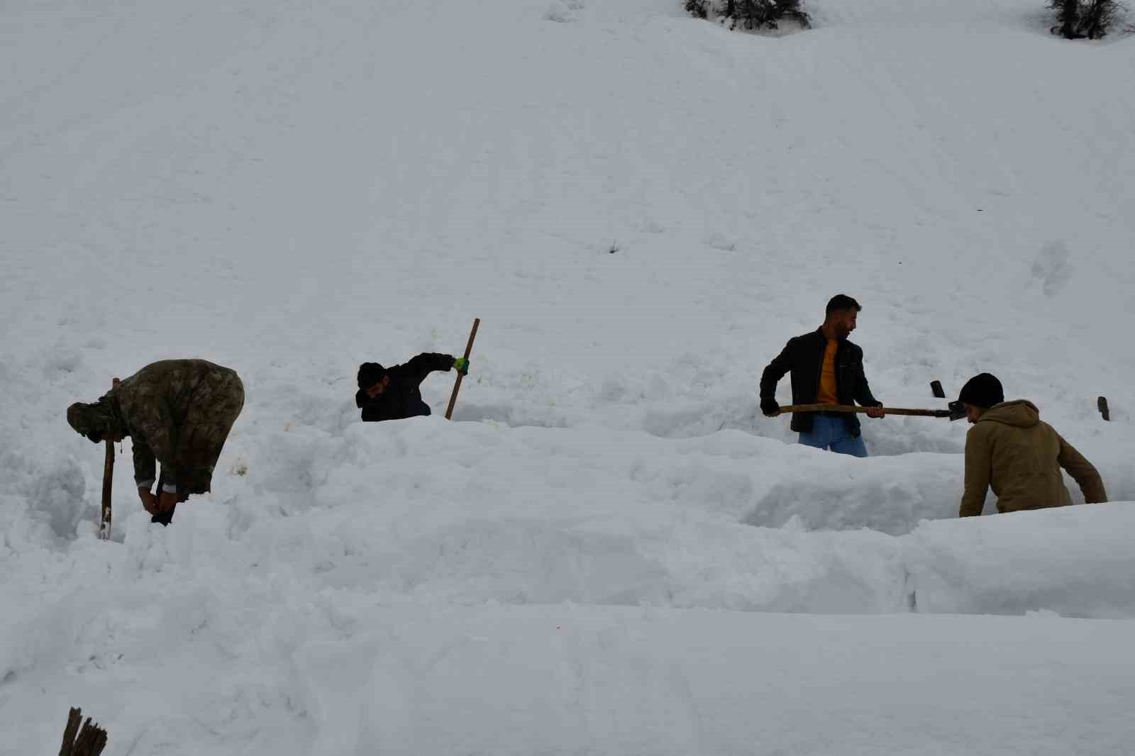 Şırnak’ta bal arıları çığ altında kaldı
