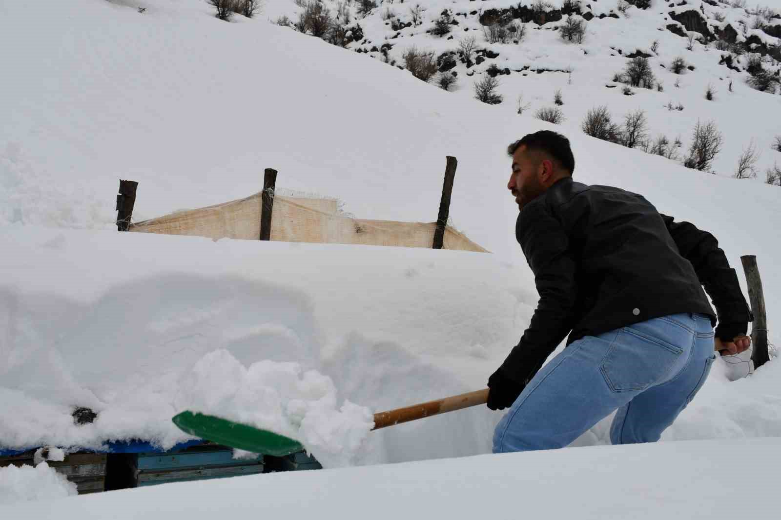 Şırnak’ta bal arıları çığ altında kaldı
