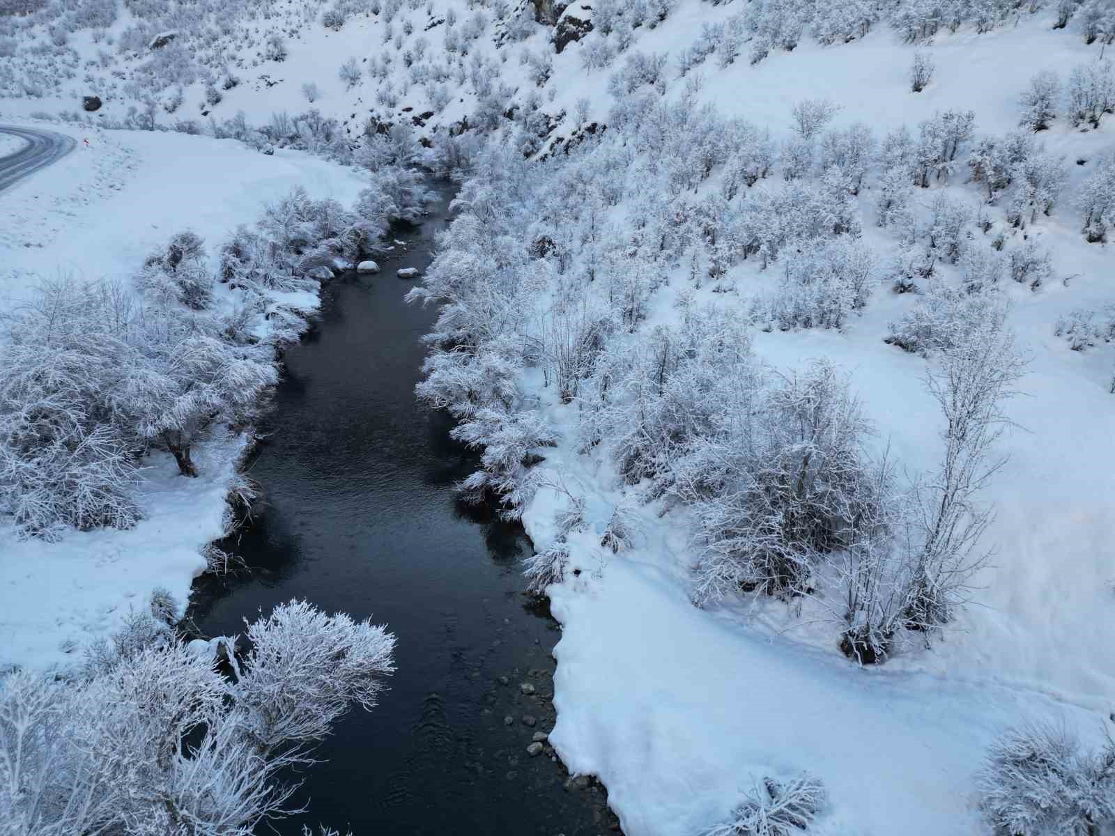 Şırnak’ta beyaza bürünen dağ ve ağaçlar göz kamaştırdı
