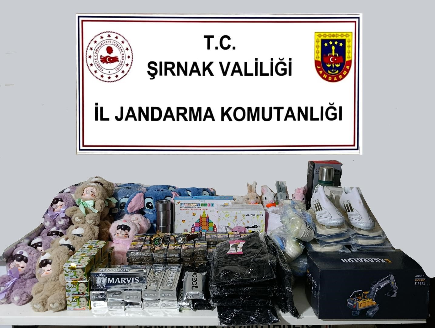 Şırnak’ta jandarma ekipleri cephanelik ele geçirdi: 20 tutuklama
Şırnak’ta jandarma ekipleri cephanelik ele geçirdi: 20 tutuklama