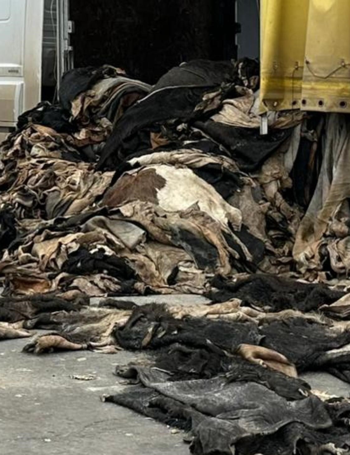 Şırnak’ta jandarma ekipleri cephanelik ele geçirdi: 20 tutuklama
Şırnak’ta jandarma ekipleri cephanelik ele geçirdi: 20 tutuklama