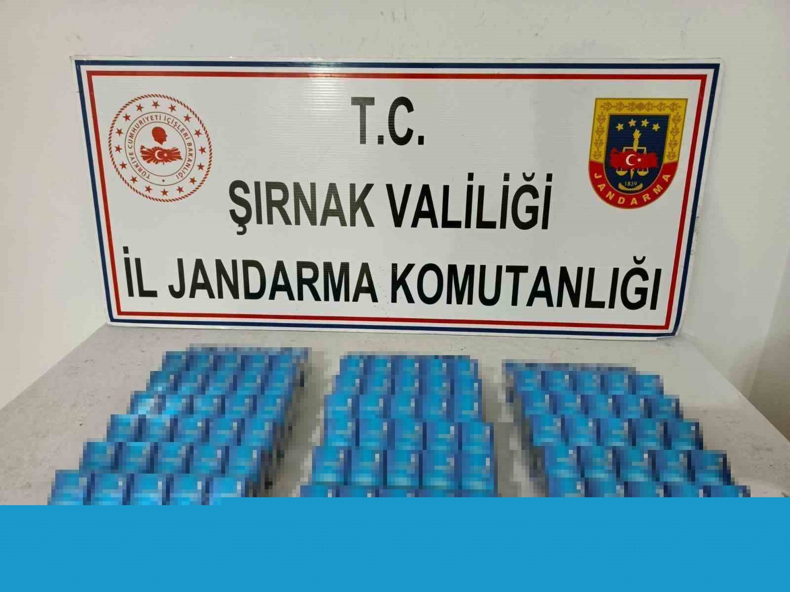 Şırnak’ta jandarma ekipleri cephanelik ele geçirdi
Şırnak’ta jandarma ekipleri cephanelik ele geçirdi