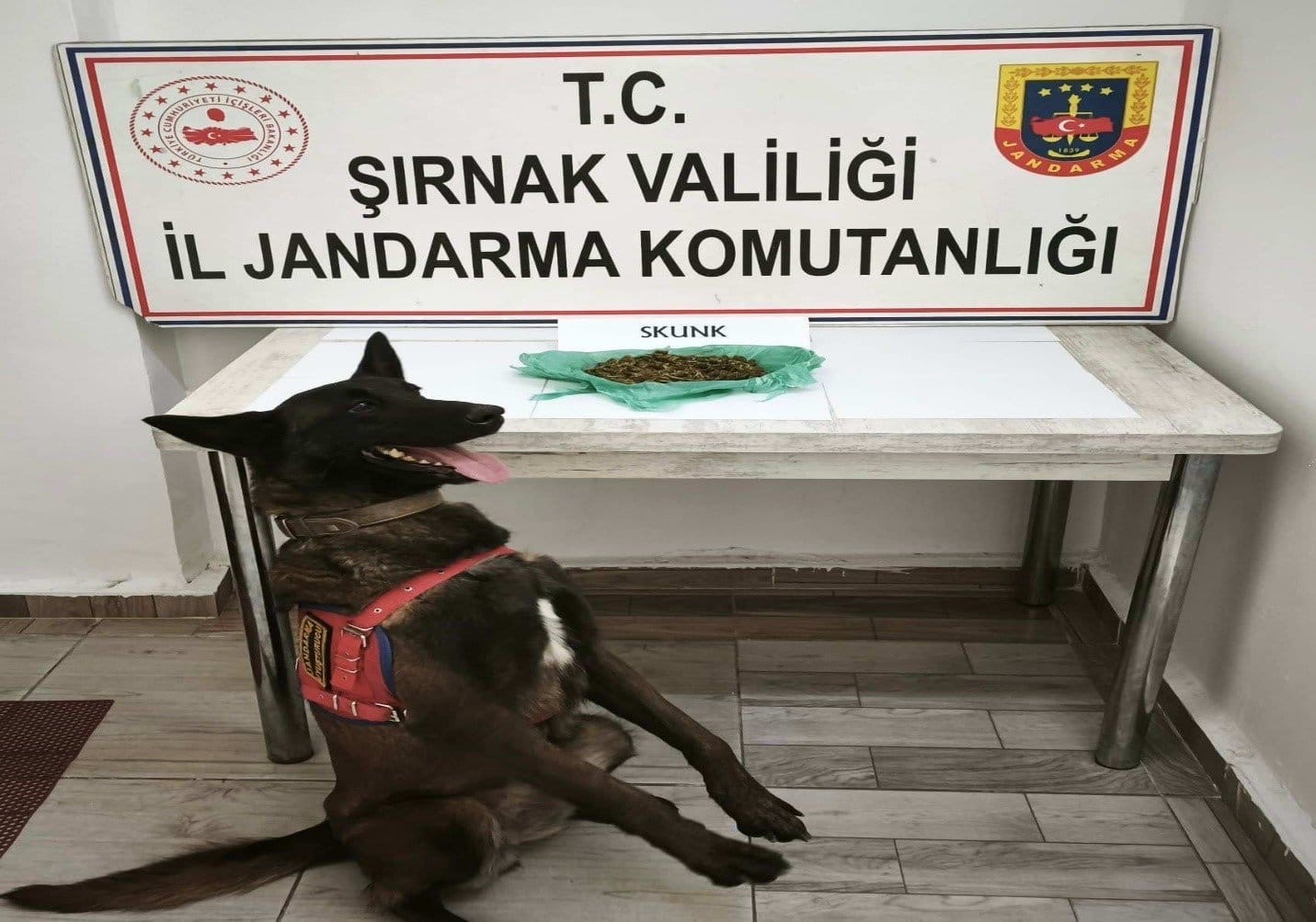 Şırnak’ta jandarma ekiplerinden asayiş, narkotik ve kaçakçılık operasyonu: 27 tutuklama
Şırnak’ta jandarma ekiplerinden asayiş, narkotik ve kaçakçılık operasyonu: 27 tutuklama