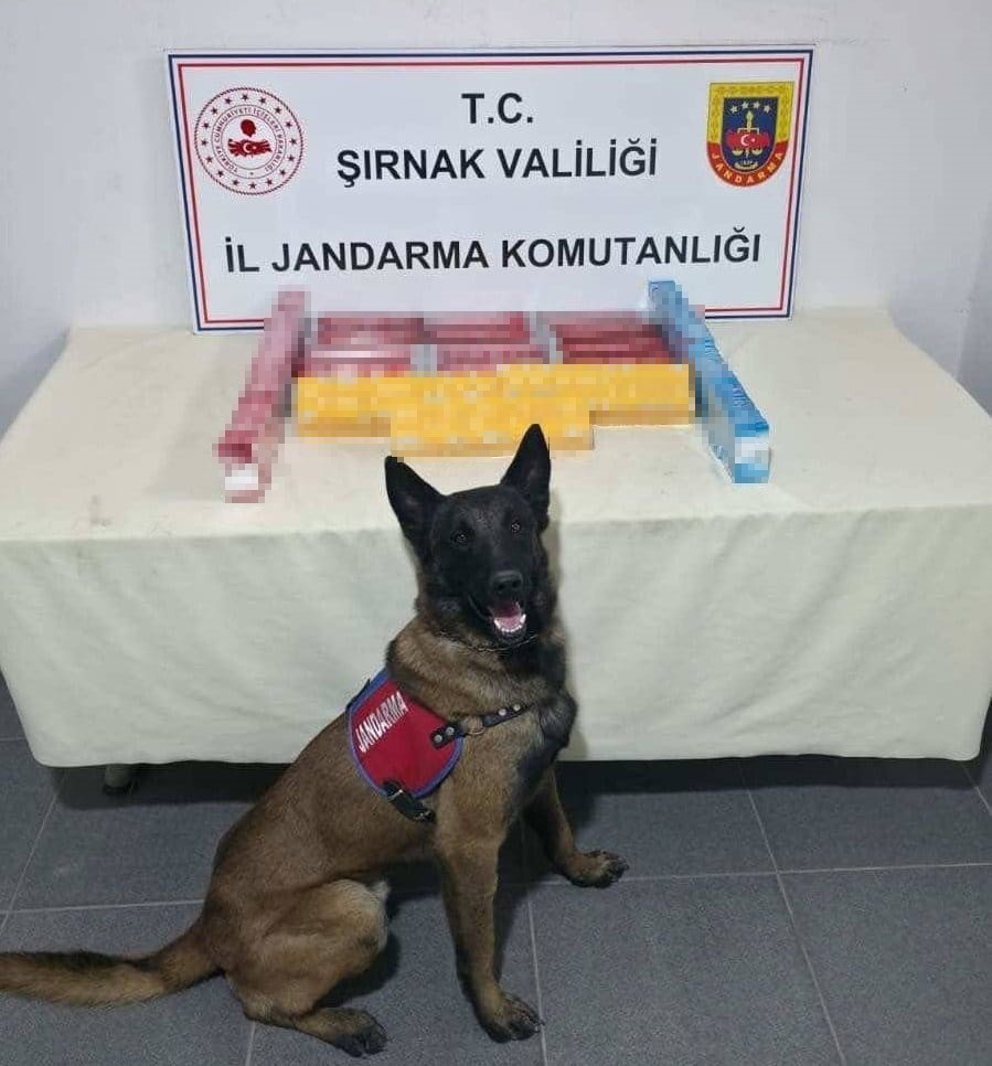 Şırnak’ta jandarma ekiplerinden kaçakçılığa darbe
