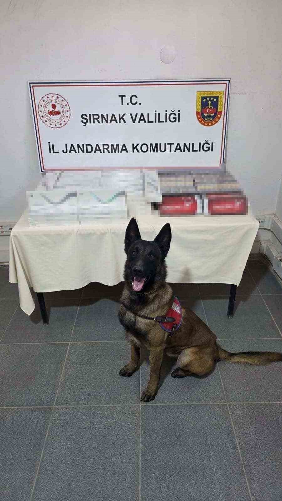 Şırnak’ta jandarmadan kaçakçılık operasyonu: 27 milyon liralık kaçak malzeme ele geçirildi
Şırnak’ta jandarmadan kaçakçılık operasyonu: 27 milyon liralık kaçak malzeme ele geçirildi