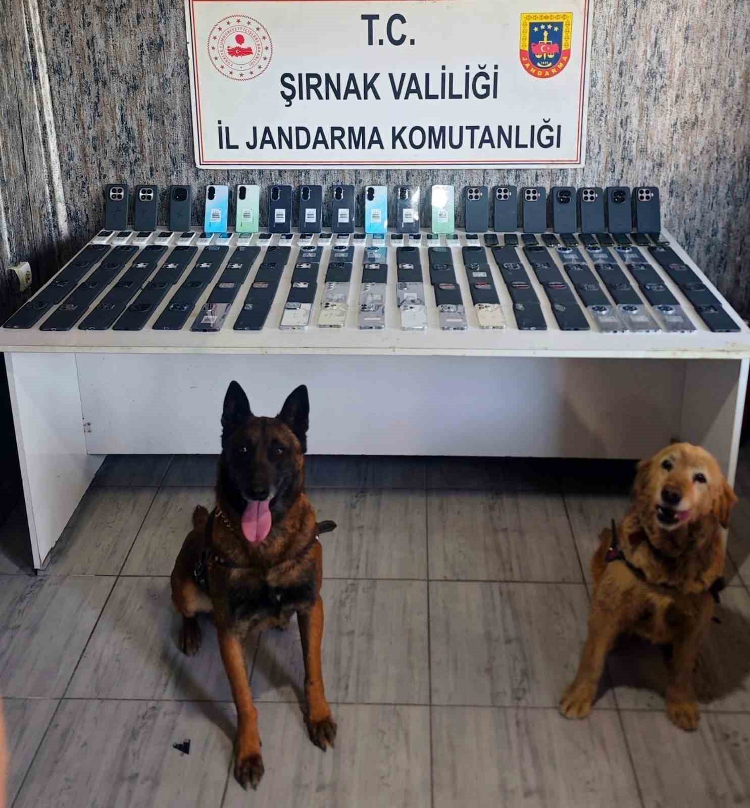 Şırnak’ta jandarmadan kaçakçılık operasyonu: 34,5 milyon liralık kaçak malzeme ele geçirildi
Şırnak’ta jandarmadan kaçakçılık operasyonu: 34,5 milyon liralık kaçak malzeme ele geçirildi