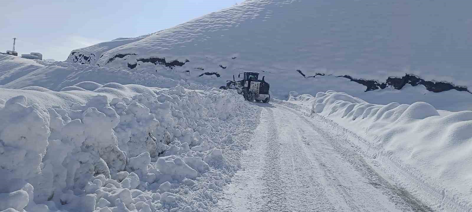 Şırnak’ta karlı yollar tek tek açılıyor
