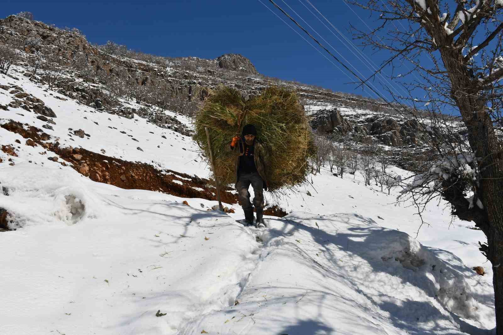 Şırnak’ta keçi besiciliği gittikçe yok oluyor
