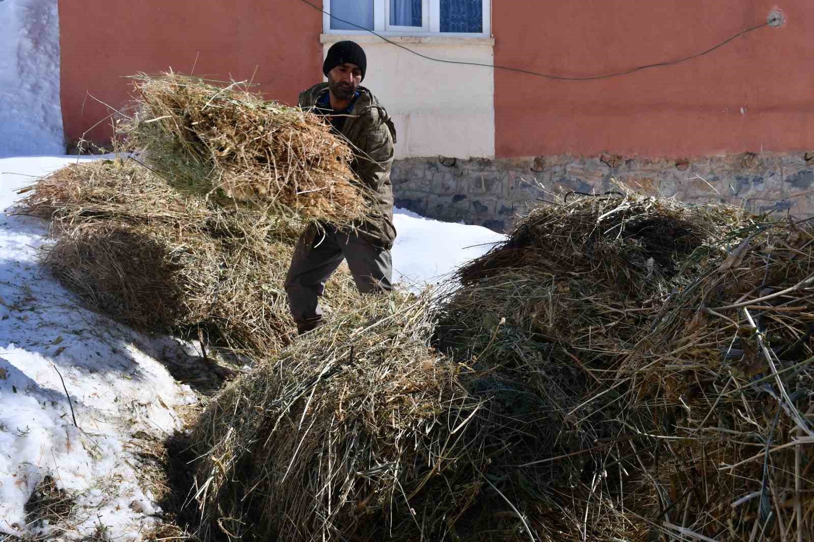 Şırnak’ta keçi besiciliği gittikçe yok oluyor
