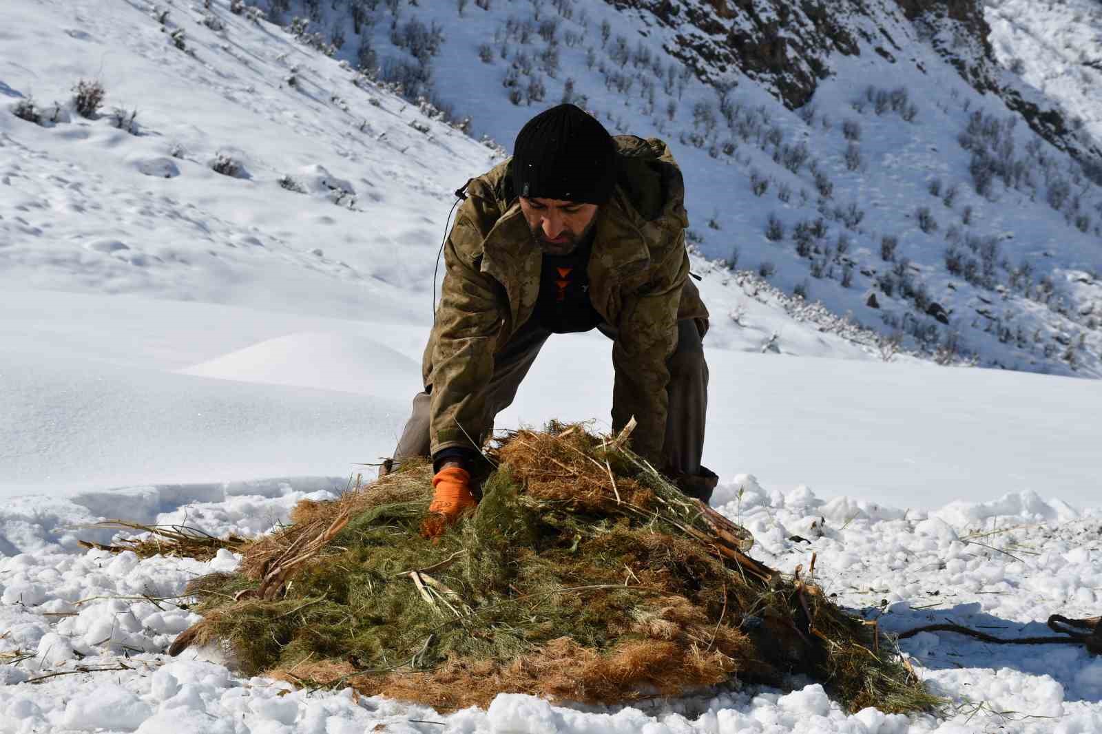 Şırnak’ta keçi besiciliği gittikçe yok oluyor
