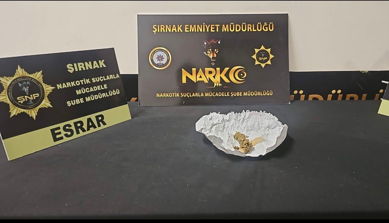 Şırnak’ta narkotik ve kaçakçılık operasyonu: 1 tutuklama
