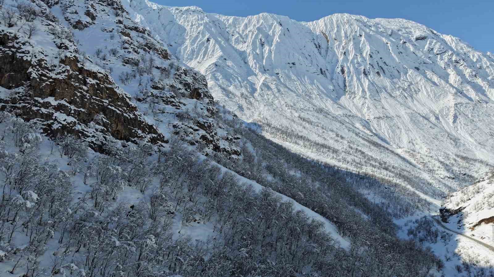 Şırnak’ta ormanlık alan beyaza büründü
