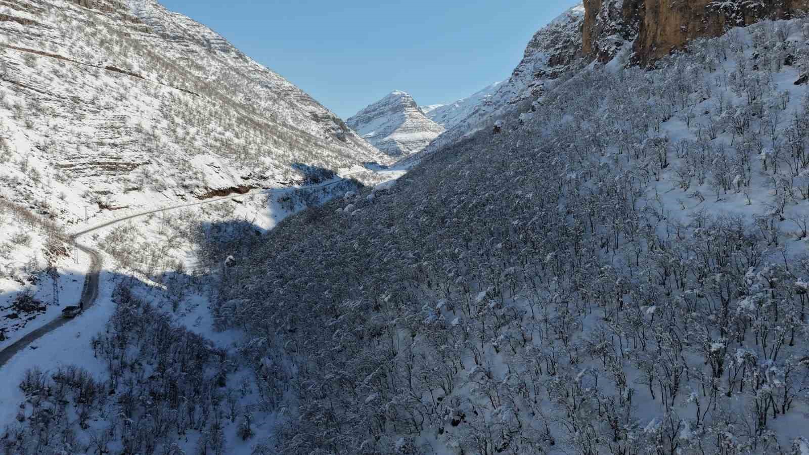 Şırnak’ta ormanlık alan beyaza büründü
