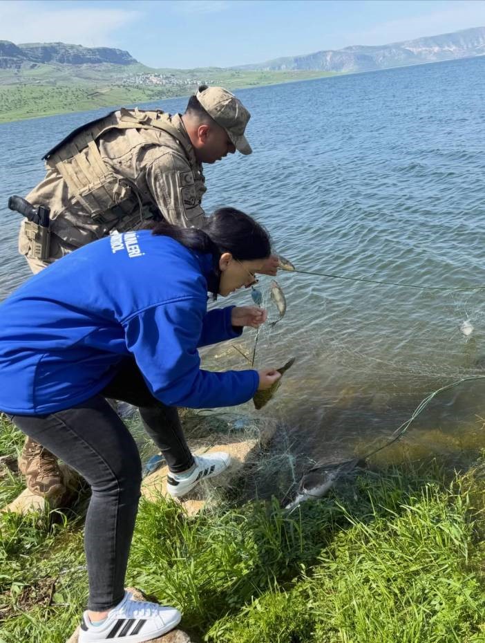 Şırnak’ta yasak dönemde yakalanan balıklar doğaya kazandırıldı
