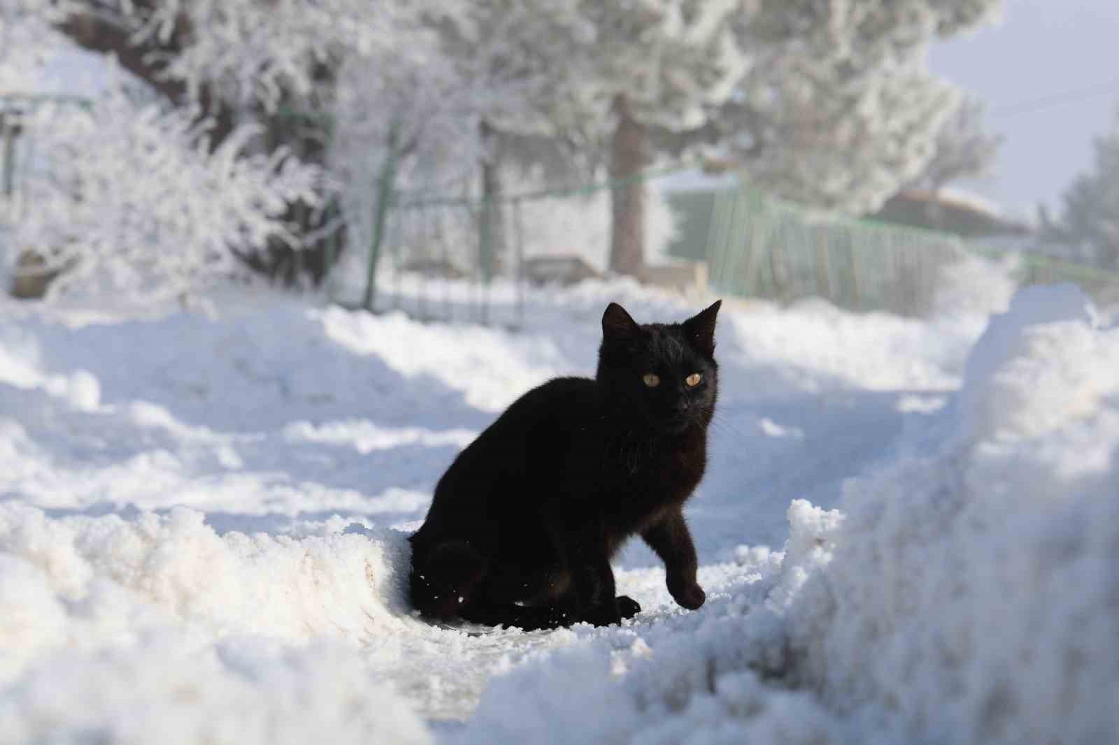 Sis ve kar altındaki Harput, en sessiz günlerini yaşıyor

