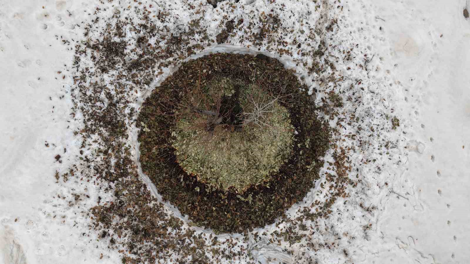 Sisle kaplanan Derecik dronla görüntülendi

