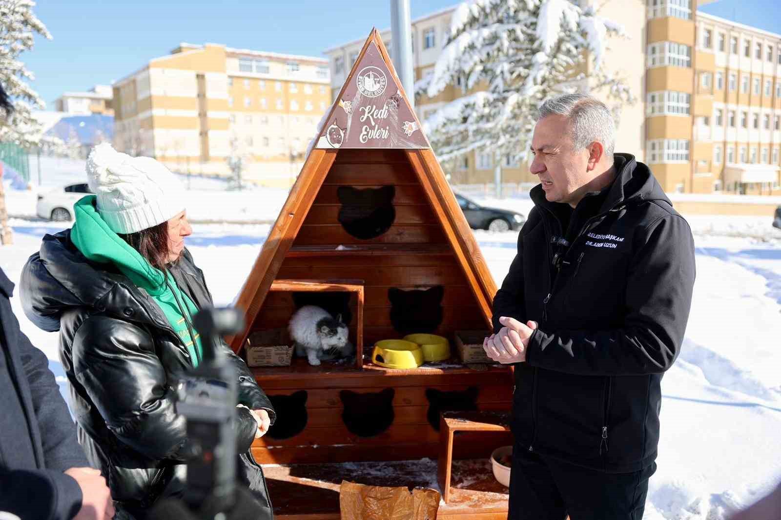Sivas Belediyesi sokak hayvanlarını unutmadı
